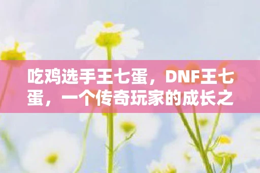 吃鸡选手王七蛋,DNF王七蛋,一个传奇玩家的成长之路 吃鸡选手王七蛋,DNF王七蛋,一个传奇玩家的成长之路