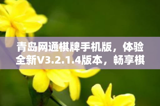 青岛网通棋牌手机版图片