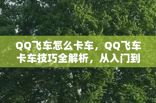 QQ飞车怎么卡车,QQ飞车卡车技巧全解析,从入门到精通 QQ飞车怎么卡车,QQ飞车卡车技巧全解析,从入门到精通