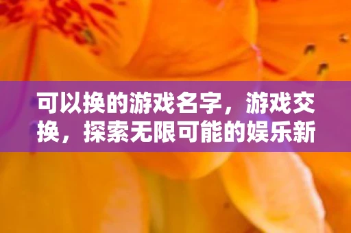 可以换的游戏名字,游戏交换,探索无限可能的娱乐新领域 可以换的游戏名字,游戏交换,探索无限可能的娱乐新领域
