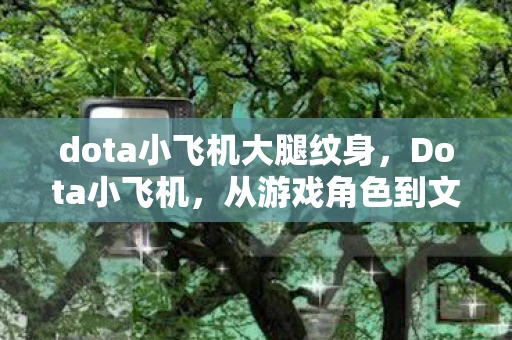 dota小飞机大腿纹身，Dota小飞机，从游戏角色到文化符号的演变