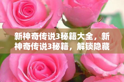 新神奇传说3秘籍大全，新神奇传说3秘籍，解锁隐藏技能与提升战斗力的终极指南