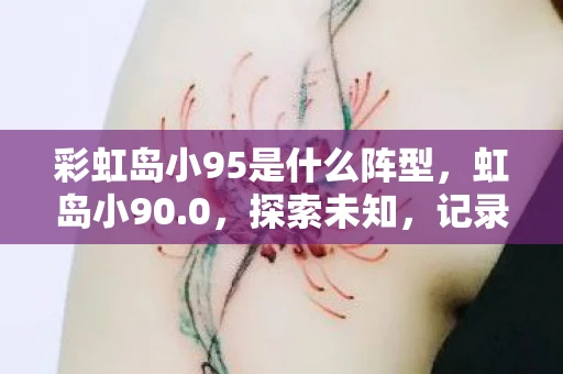 彩虹岛小95是什么阵型,虹岛小90.0,探索未知,记录生活 彩虹岛小95是什么阵型,虹岛小90.0,探索未知,记录生活