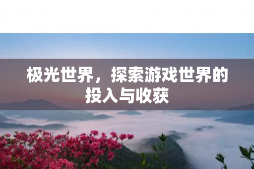 探索游戏世界的投入与收获图片