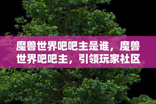 魔兽世界吧吧主是谁,魔兽世界吧吧主,引领玩家社区的领航者 魔兽世界吧吧主是谁,魔兽世界吧吧主,引领玩家社区的领航者