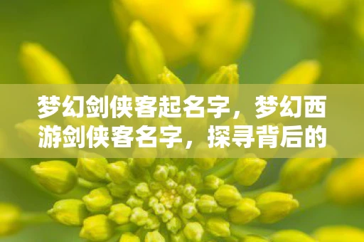 梦幻剑侠客起名字，梦幻西游剑侠客名字，探寻背后的故事与意义