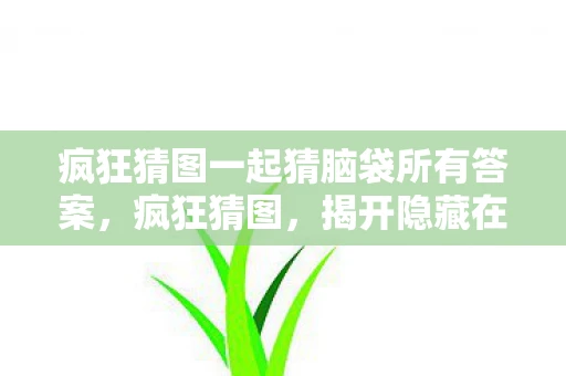 疯狂猜图一起猜脑袋所有答案，疯狂猜图，揭开隐藏在帽子下的秘密