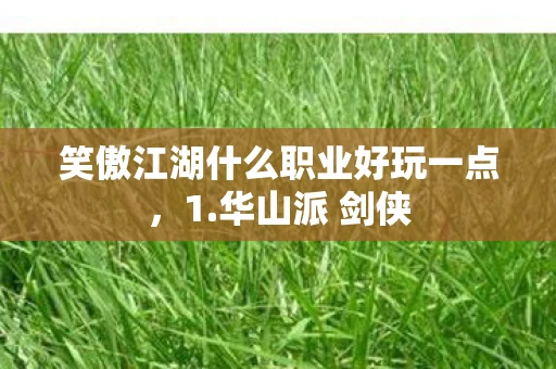 笑傲江湖什么职业好玩一点,1.华山派 剑侠 笑傲江湖什么职业好玩一点,1.华山派 剑侠