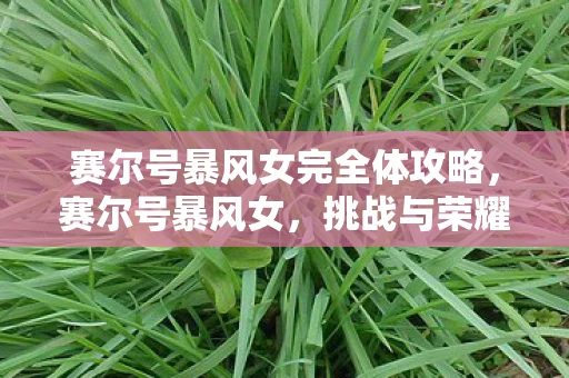 赛尔号暴风女完全体攻略,赛尔号暴风女,挑战与荣耀的传奇之旅 赛尔号暴风女完全体攻略,赛尔号暴风女,挑战与荣耀的传奇之旅