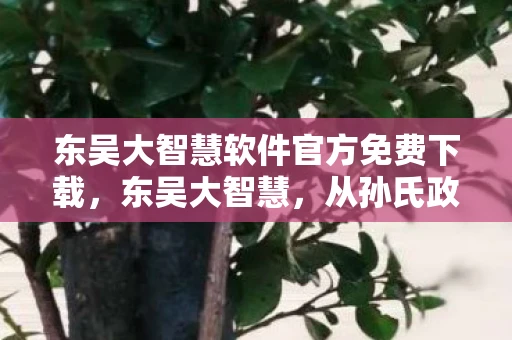 东吴大智慧软件官方免费下载,东吴大智慧,从孙氏政权到江南文化的传承 东吴大智慧软件官方免费下载,东吴大智慧,从孙氏政权到江南文化的传承