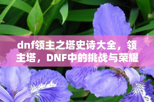 dnf领主之塔史诗大全,领主塔,DNF中的挑战与荣耀 dnf领主之塔史诗大全,领主塔,DNF中的挑战与荣耀