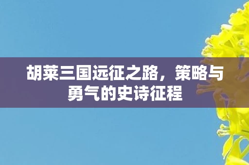 策略与勇气的史诗征程图片