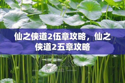 仙之侠道2伍章攻略,仙之侠道2五章攻略 仙之侠道2伍章攻略,仙之侠道2五章攻略