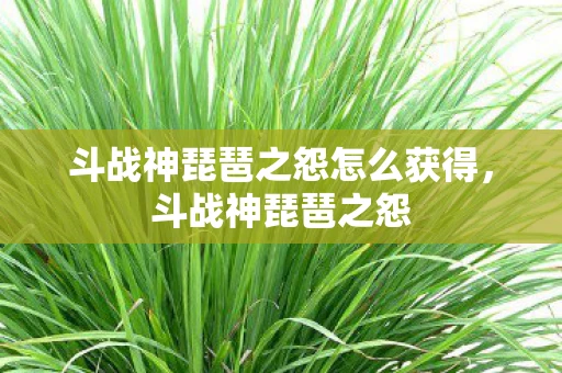斗战神琵琶之怨怎么获得,斗战神琵琶之怨 斗战神琵琶之怨怎么获得,斗战神琵琶之怨