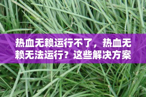 热血无赖运行不了，热血无赖无法运行？这些解决方案或许能帮到你