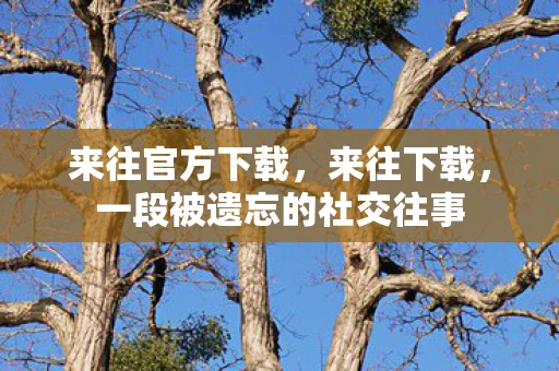 来往官方下载,来往下载,一段被遗忘的社交往事 来往官方下载,来往下载,一段被遗忘的社交往事