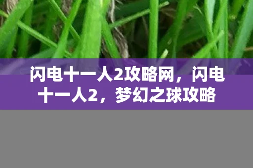 闪电十一人2攻略网,闪电十一人2,梦幻之球攻略 闪电十一人2攻略网,闪电十一人2,梦幻之球攻略