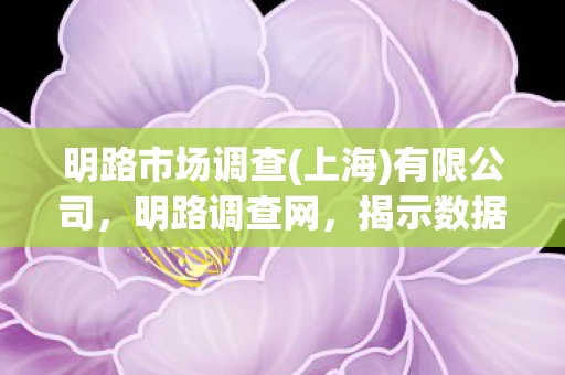 明路市场调查(上海)有限公司,明路调查网,揭示数据背后的真相 明路市场调查(上海)有限公司,明路调查网,揭示数据背后的真相
