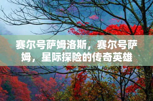 赛尔号萨姆洛斯,赛尔号萨姆,星际探险的传奇英雄 赛尔号萨姆洛斯,赛尔号萨姆,星际探险的传奇英雄