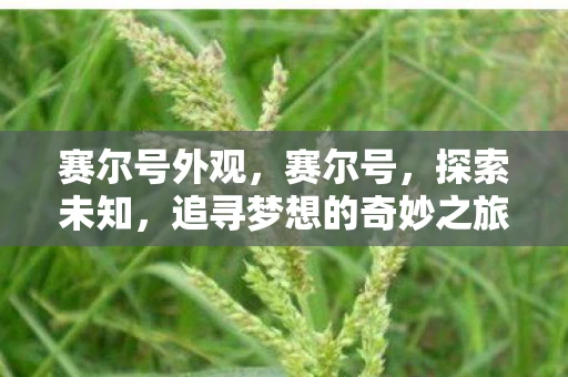 赛尔号外观,赛尔号,探索未知,追寻梦想的奇妙之旅 赛尔号外观,赛尔号,探索未知,追寻梦想的奇妙之旅