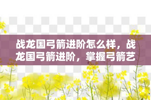 战龙国弓箭进阶怎么样，战龙国弓箭进阶，掌握弓箭艺术的奥秘