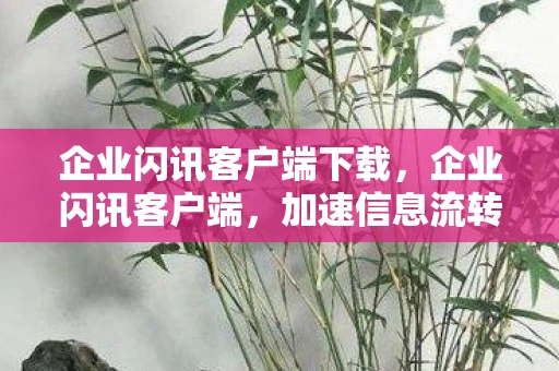 企业闪讯客户端下载，企业闪讯客户端，加速信息流转，提升工作效率