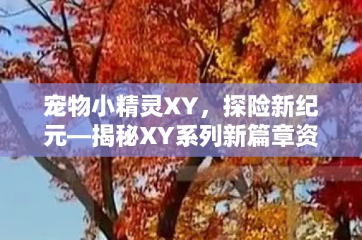 揭秘XY系列新篇章资讯图片