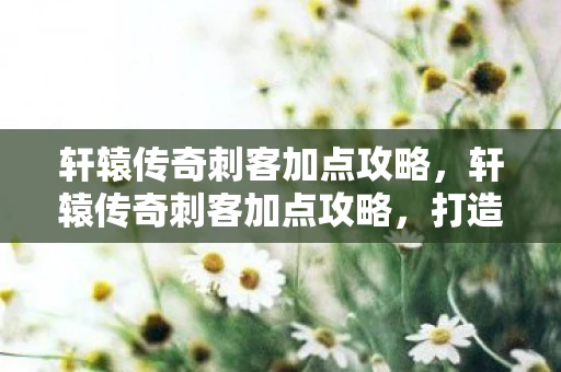 轩辕传奇刺客加点攻略，轩辕传奇刺客加点攻略，打造无敌刺客的秘诀
