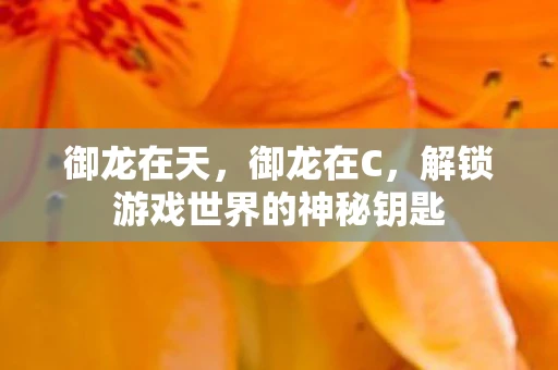 御龙在天,御龙在C,解锁游戏世界的神秘钥匙 御龙在天,御龙在C,解锁游戏世界的神秘钥匙