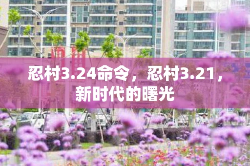 忍村3.24命令，忍村3.21，新时代的曙光
