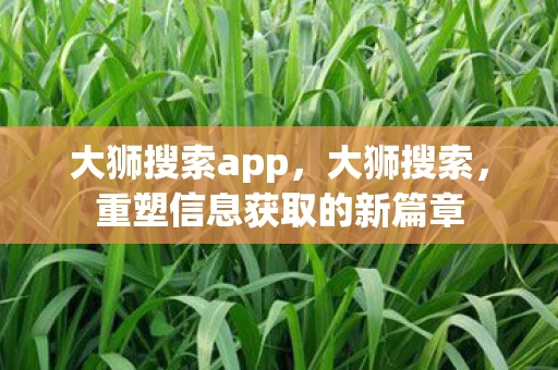 大狮搜索app,大狮搜索,重塑信息获取的新篇章 大狮搜索app,大狮搜索,重塑信息获取的新篇章