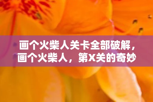 画个火柴人关卡全部破解，画个火柴人，第X关的奇妙冒险