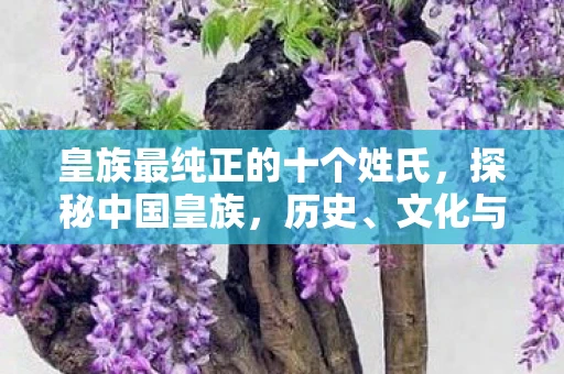 皇族最纯正的十个姓氏,探秘中国皇族,历史、文化与现代影响 皇族最纯正的十个姓氏,探秘中国皇族,历史、文化与现代影响