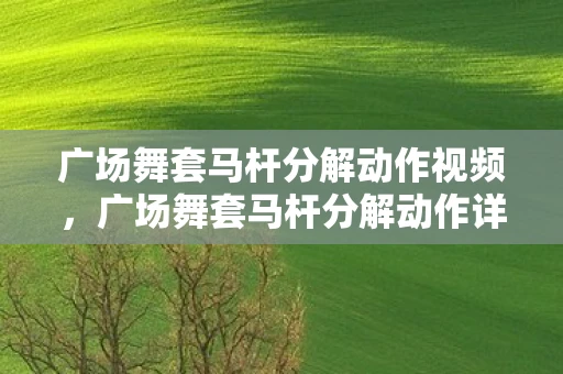 广场舞套马杆分解动作视频，广场舞套马杆分解动作详解