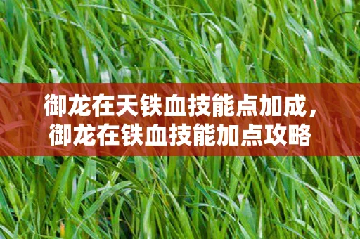 御龙在天铁血技能点加成，御龙在铁血技能加点攻略