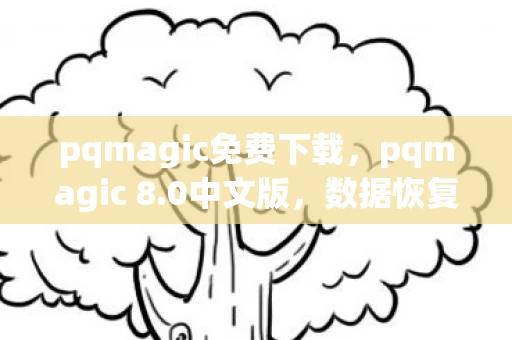 pqmagic免费下载，pqmagic 8.0中文版，数据恢复与磁盘管理的得力助手