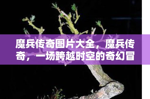 魔兵传奇图片大全，魔兵传奇，一场跨越时空的奇幻冒险