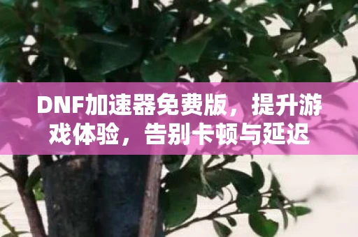 DNF加速器免费版，提升游戏体验，告别卡顿与延迟