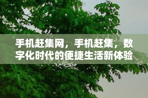 手机赶集网，手机赶集，数字化时代的便捷生活新体验