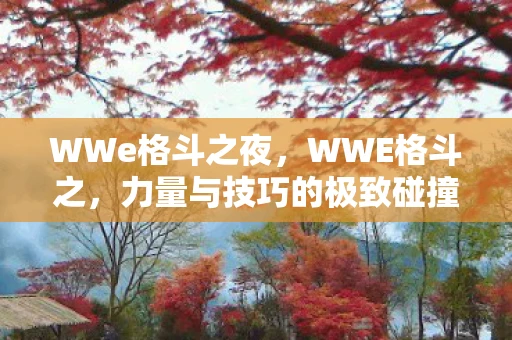 WWe格斗之夜，WWE格斗之，力量与技巧的极致碰撞