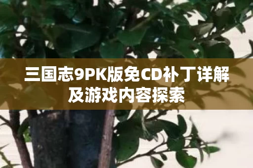 三国志9PK版免CD补丁详解及游戏内容探索图片