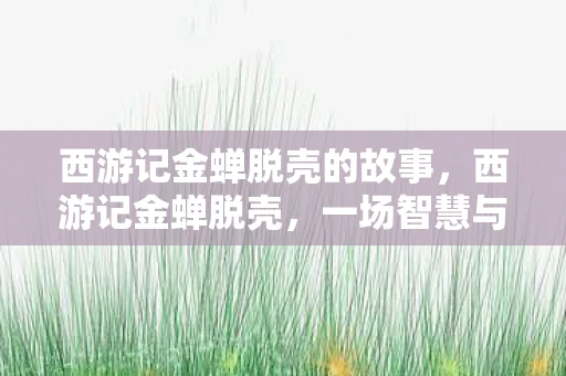 西游记金蝉脱壳的故事，西游记金蝉脱壳，一场智慧与勇气的较量