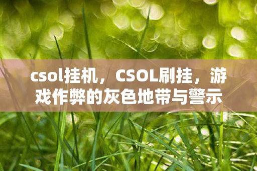 csol挂机,CSOL刷挂,游戏作弊的灰色地带与警示 csol挂机,CSOL刷挂,游戏作弊的灰色地带与警示