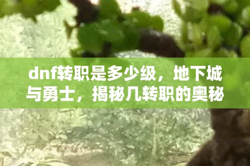 dnf转职是多少级，地下城与勇士，揭秘几转职的奥秘