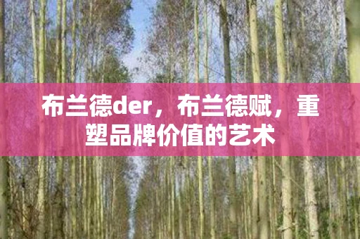 布兰德der，布兰德赋，重塑品牌价值的艺术