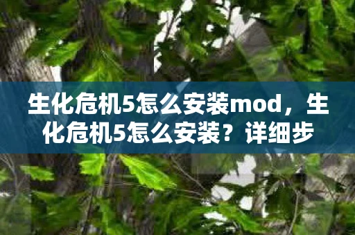 生化危机5怎么安装mod，生化危机5怎么安装？详细步骤指南