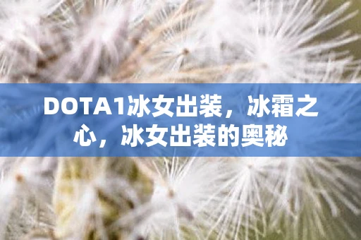 DOTA1冰女出装，冰霜之心，冰女出装的奥秘