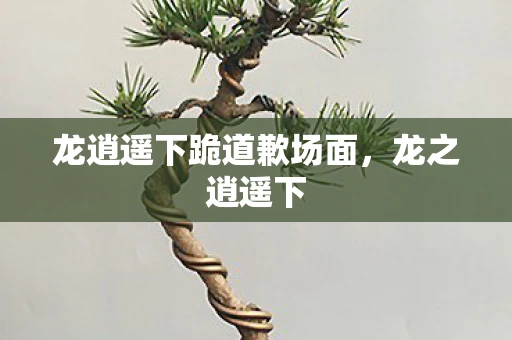 龙逍遥下跪道歉场面，龙之逍遥下