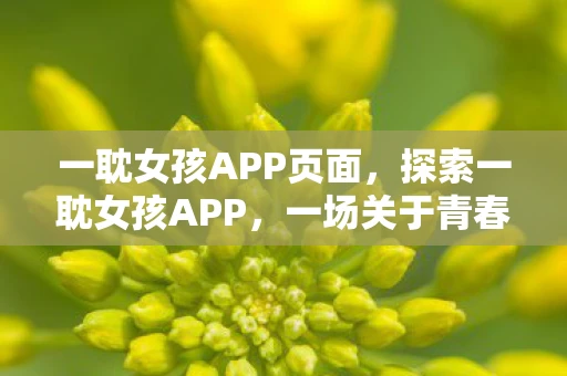 一耽女孩APP页面，探索一耽女孩APP，一场关于青春与梦想的数字之旅