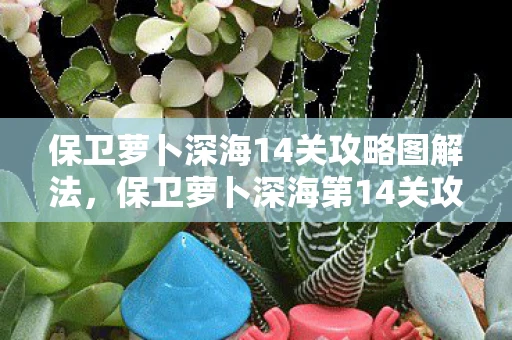 保卫萝卜深海14关攻略图解法，保卫萝卜深海第14关攻略